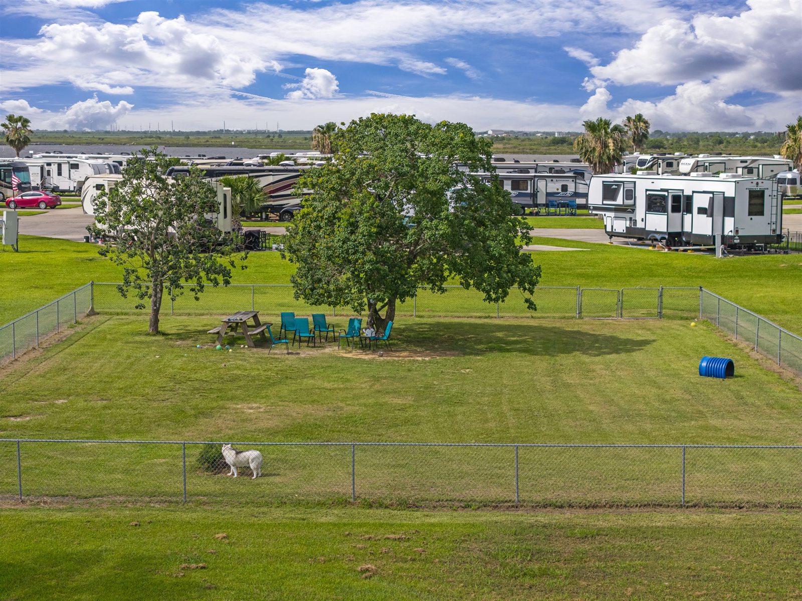 Spacious Fenced Dog Park with Agility Toys & Bayside Breezes